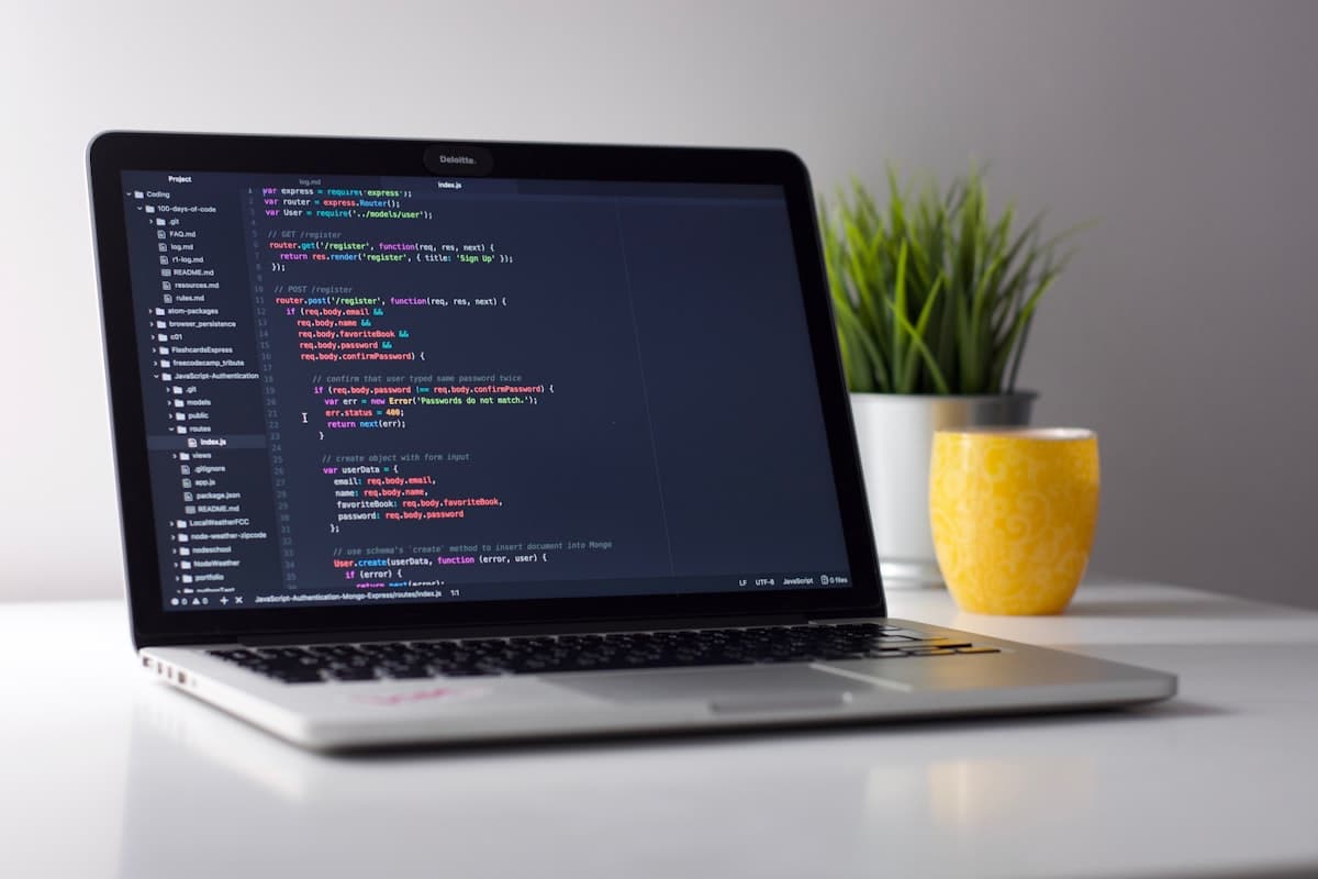 Free JSON validator and syntax checker tool to spot JSON errors with exact line numbers